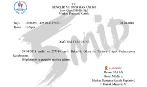 Oyunculara Müjde: Türkiye'de E-Spor Federasyonu Kuruldu 