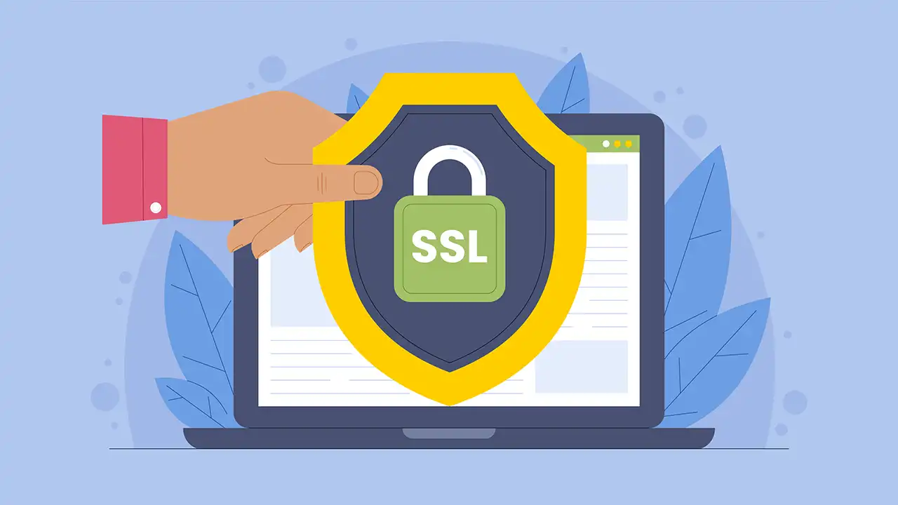 SSL2BUY İncelemesi: En Güvenilir SSL Sertifika Sağlayıcısı 