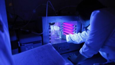 Yeni Antibiyotik Topraktan Bulundu: Süper Bakterilere Karşı Eşsiz Bir Saldırı 2 Yeni Antibiyotik Topraktan Bulundu: Süper Bakterilere Karşı Eşsiz Bir Saldırı