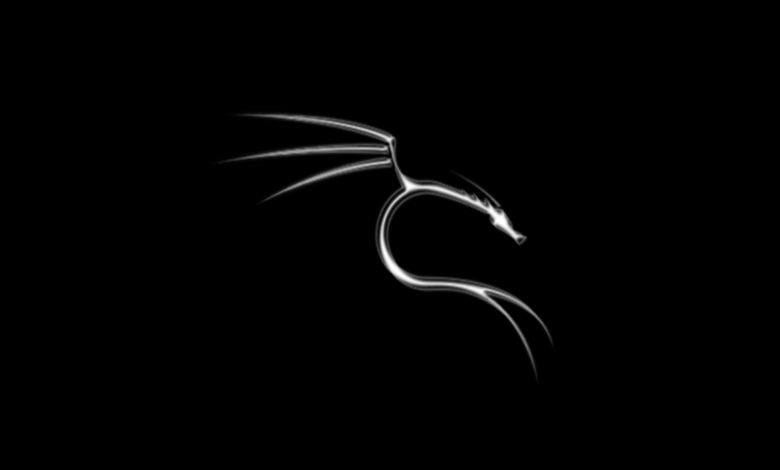 Kali Linux Nedir, Ne İşe Yarar ve Nasıl Kurulur? 