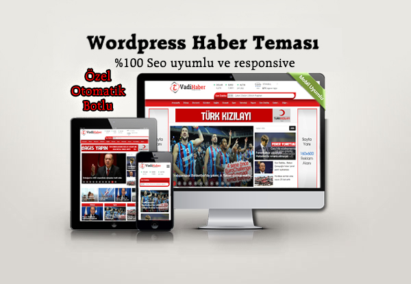 SEO Uyumlu Wordpress Teması ve Temaları  