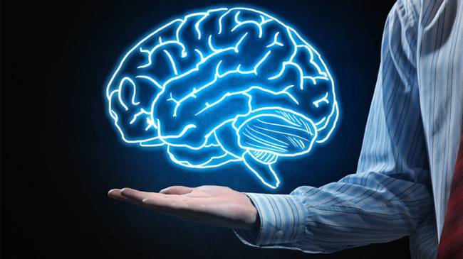 İnsan Beyninde Yeni Keşfedilen Kısım Bizi Eşsiz Kılabilir 