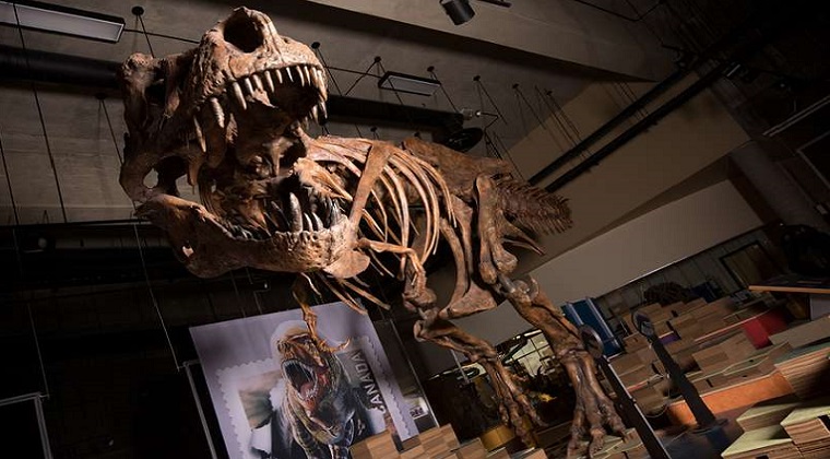 Dünyanın En Büyük T.Rex’i Rapor Edildi  