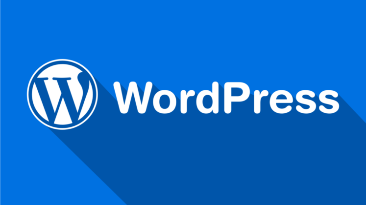 WordPress 5.2.2 Sürümü Yayınlandı  
