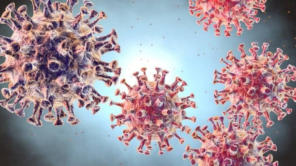 İlk Asemptomatik Corona Virüs Taşıyıcı Bulundu  