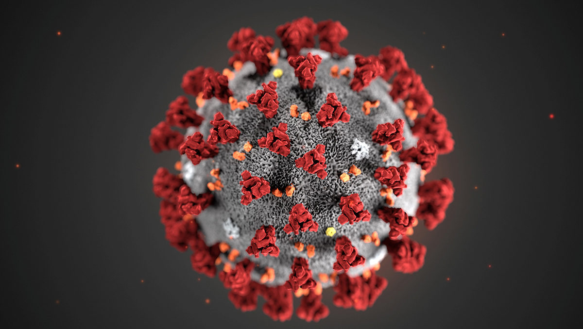 Koronavirüs Fırsatçılarına Dikkat  