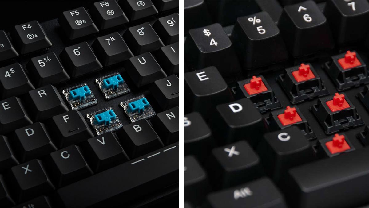Mekanik Klavyelerdeki Mavi ve Kırmızı Switch Nedir? Farkları Neler? 