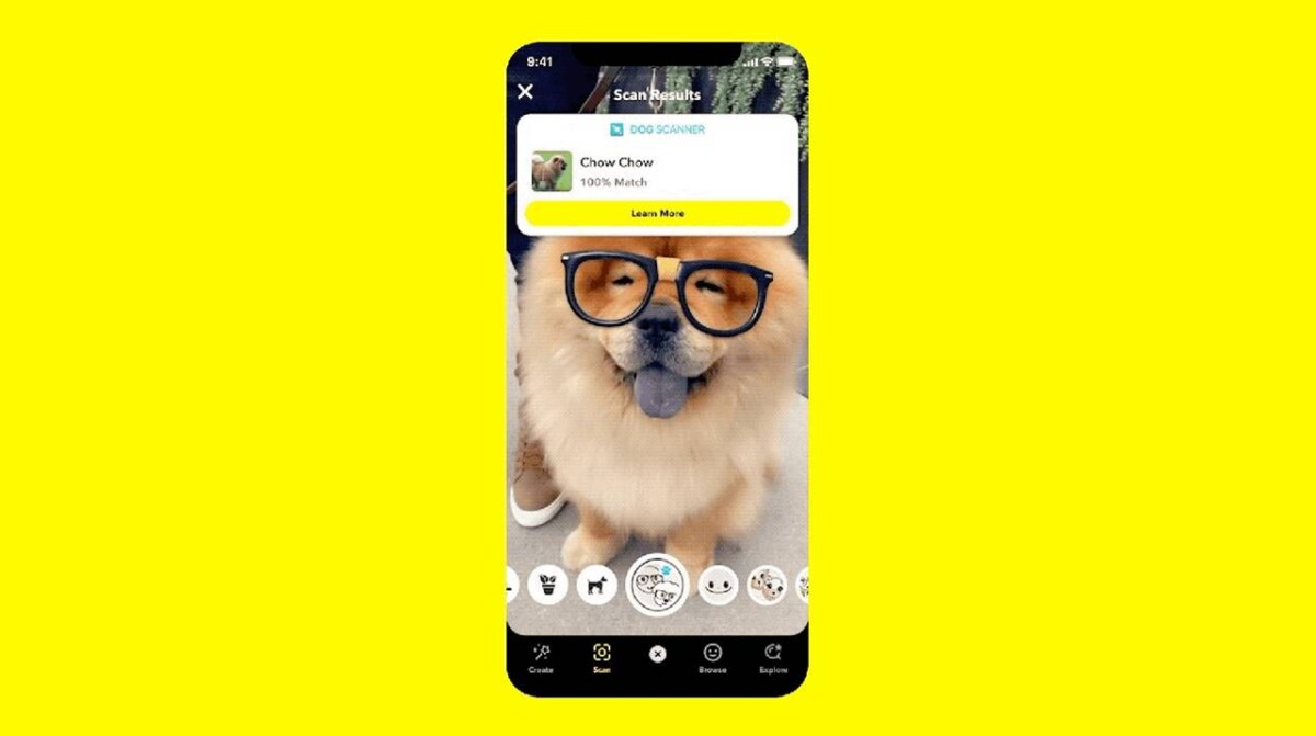 Snapchat, Bitki Türlerini ve Köpek Irklarını Tanımlamaya Yardımcı Olur  