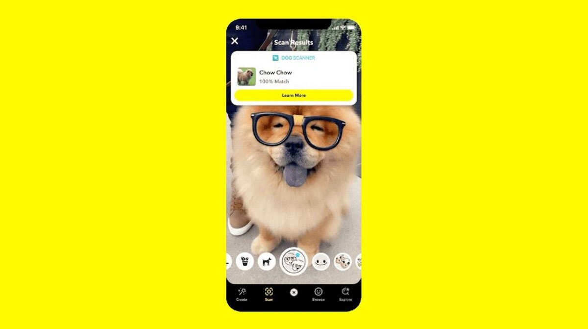 Snapchat, Bitki Türlerini ve Köpek Irklarını Tanımlamaya Yardımcı Olur 