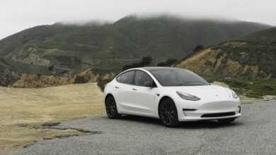 Tesla, Arabada Kitli Kalan Çocuklar İçin Radar Kuracak  