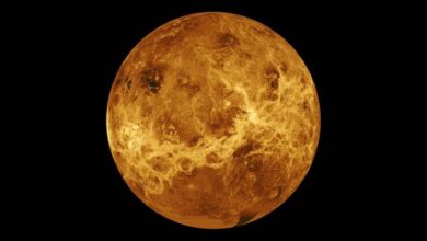 Venüs'te Fosfin İzleri Bulundu: Peki Bu Ne Demek?  