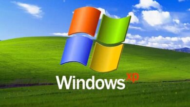 Microsoft'un Windows XP ve Windows Server 2003 Kaynak Kodu Sızdırıldı  