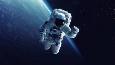 Yörüngedeki Yaşamın Astronotların Beynini Nasıl Etkilendiği Bulundu  