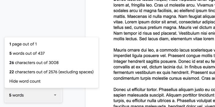 Google Dokümanlar'da Kelime Sayısı Nasıl Kontrol Edilir?  