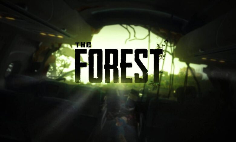 The Forest Sistem Gereksinimleri 