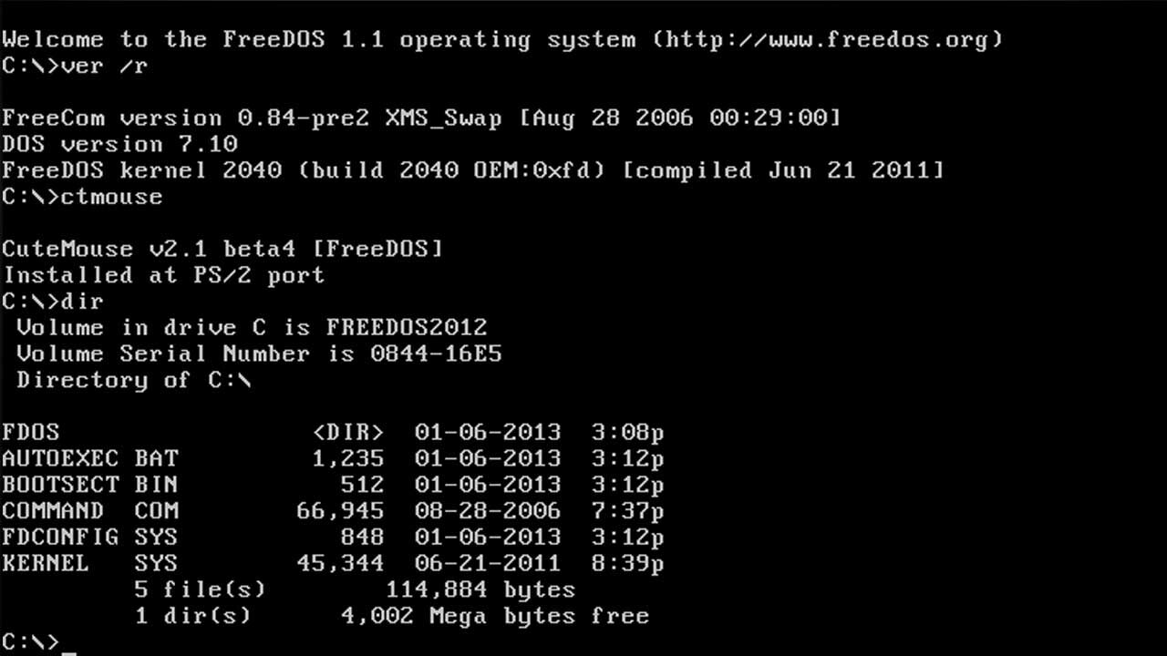 Freedos Ne Demek?  