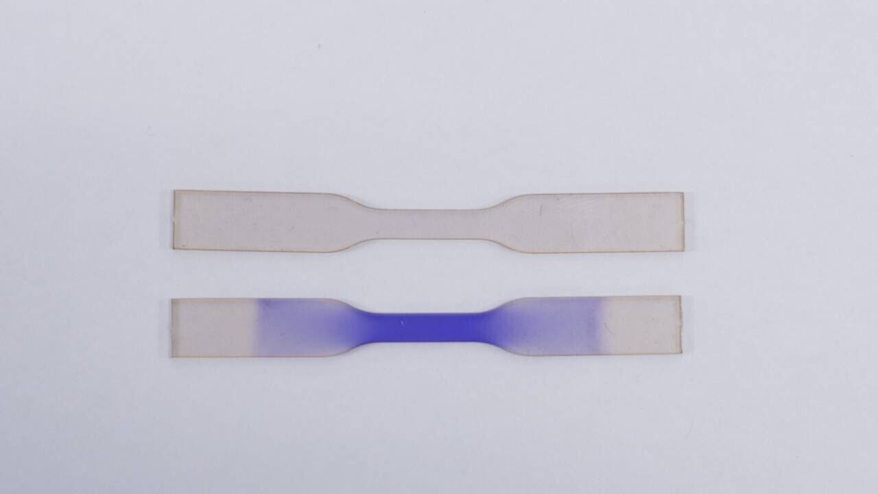 Yapay Deri Geliştirme Konusunda Yeni Gelişme!  