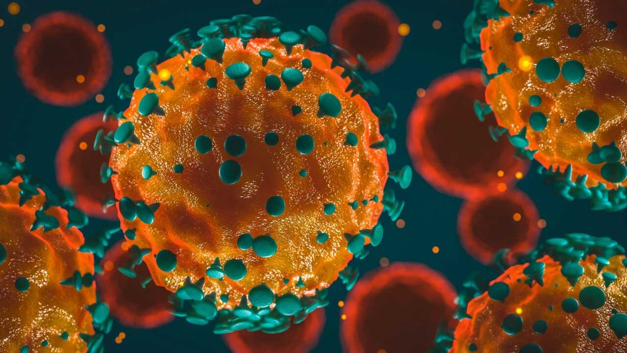 Koronavirüste 2. Dalga  