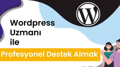 WordPress Uzmanı ile Profesyonel Destek Almak 