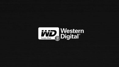 Western Digital, WD_BLACK Portföyünü Türkiye'de Genişletiyor 