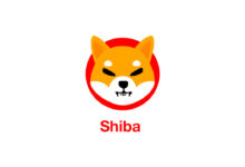 Shiba Nedir, Nereden Alınır? 