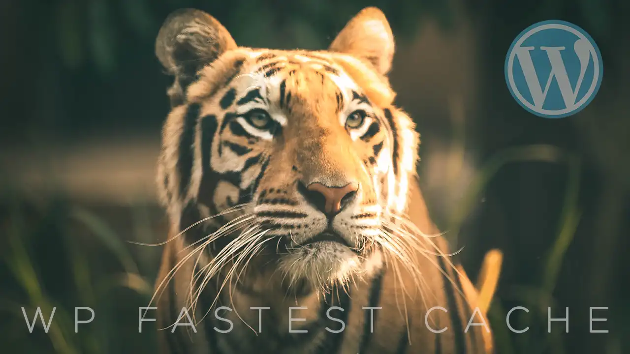 Hızlı Bir Wordpress Sitesi İçin: WP Fastest Cache  
