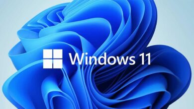 Çoğu Kullanıcı Bilgisayarını Windows 11'e Yükseltmek için Acele Etmiyor 
