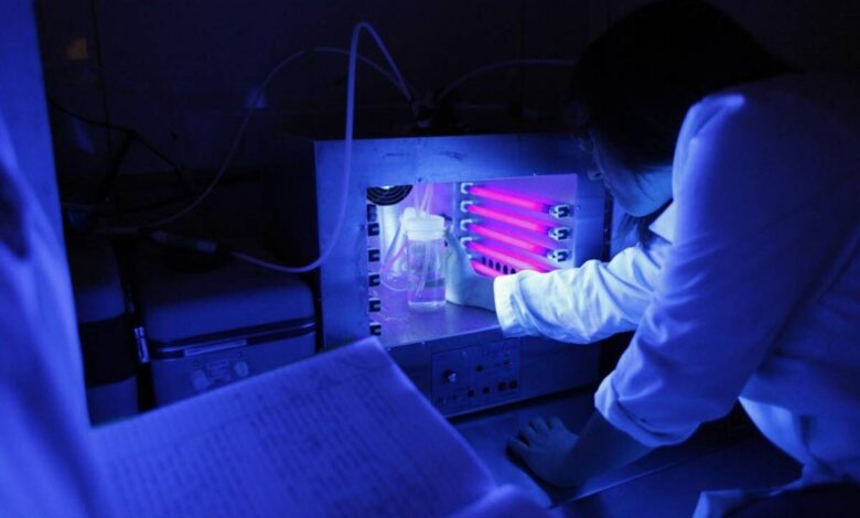 Yeni Antibiyotik Topraktan Bulundu: Süper Bakterilere Karşı Eşsiz Bir Saldırı 1 Yeni Antibiyotik Topraktan Bulundu: Süper Bakterilere Karşı Eşsiz Bir Saldırı