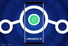 Yeni Yayınlanan LineageOS 19 Kurduk! (Android 12) 🔥Galaxy S8, S8 Plus, Note 8 