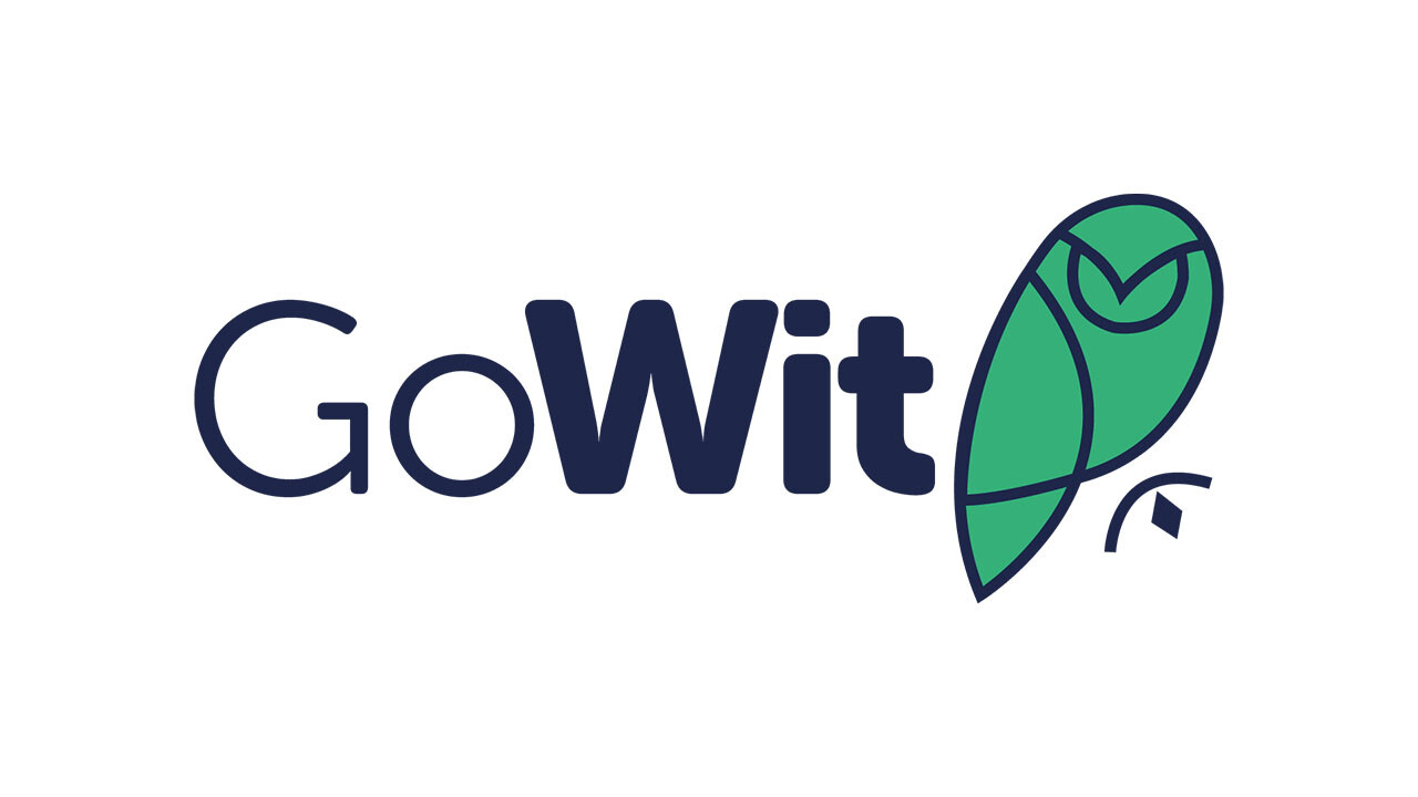 Türk Girişimi GoWit, Amerika Pazarına Açılıyor 
