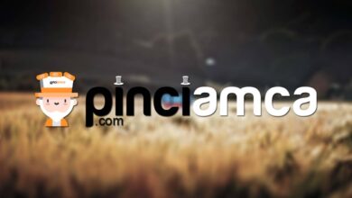 Güvenilir E-pin ve Oyun Satış Sitesi Pinciamca 