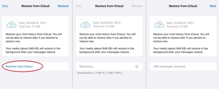 WhatsApp'ı iPhone'dan iPhone'a Aktarma 