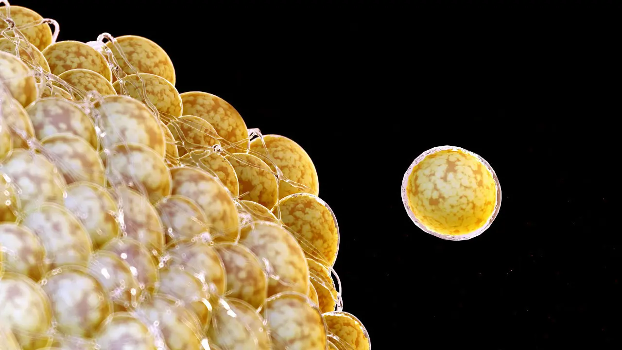 Tek Bir Hücrenin Ağırlığı Mümkün Mü? 