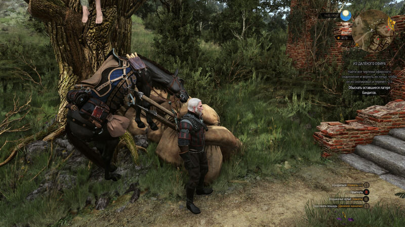 Geralt'ın Atlarına 'Roach' Adını Verme Sebebi Geralt'ın Atlarına 'Roach' Adını Verme Sebebi